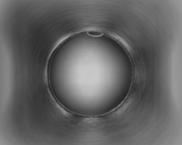 X0000111950902200908031156