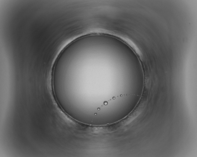 X0000111950903200908031156