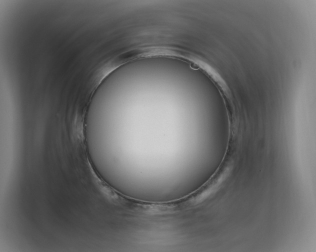 X0000111950905200908031155
