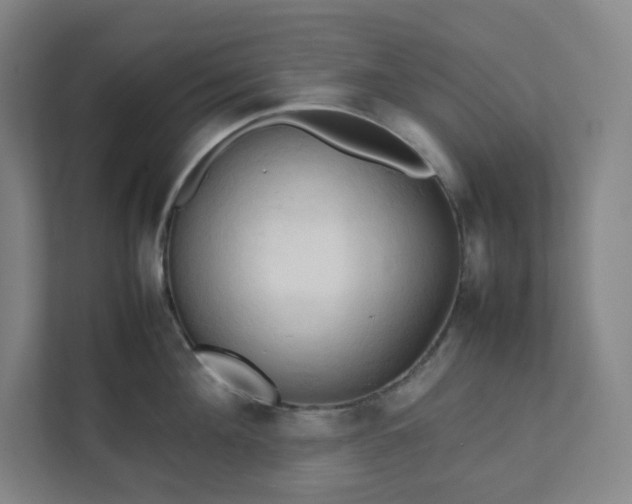 X0000111950908200908031155