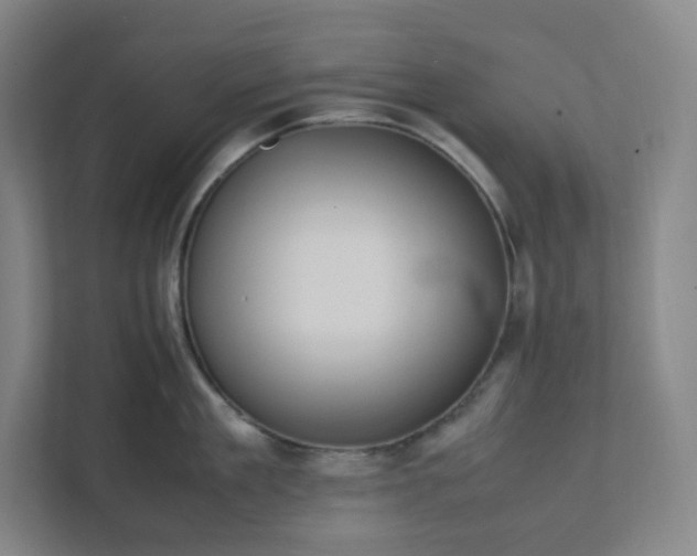 X0000111950909200908031155