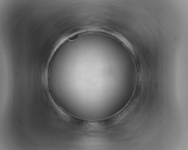 X0000111950911200908031155