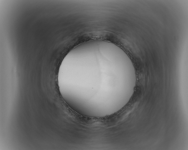 X0000111950913200908031155