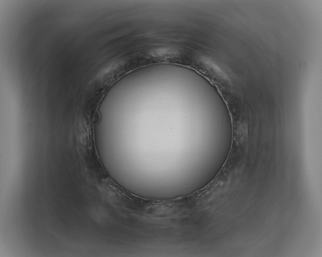 X0000111950917200908031155
