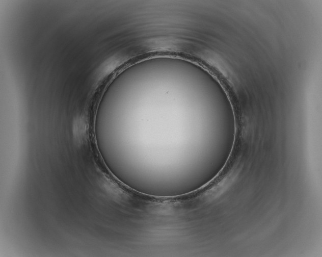 X0000111950922200908031155