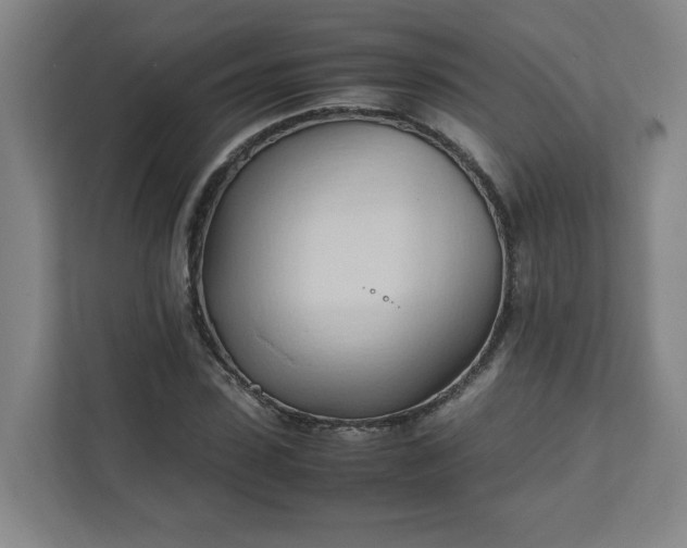 X0000111950923200908031155