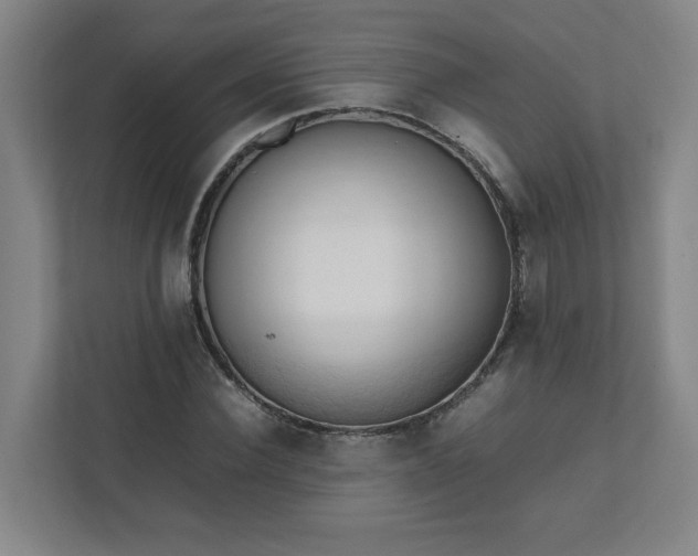 X0000111950924200908031155