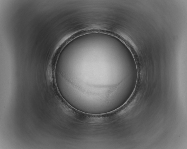 X0000111950925200908031155