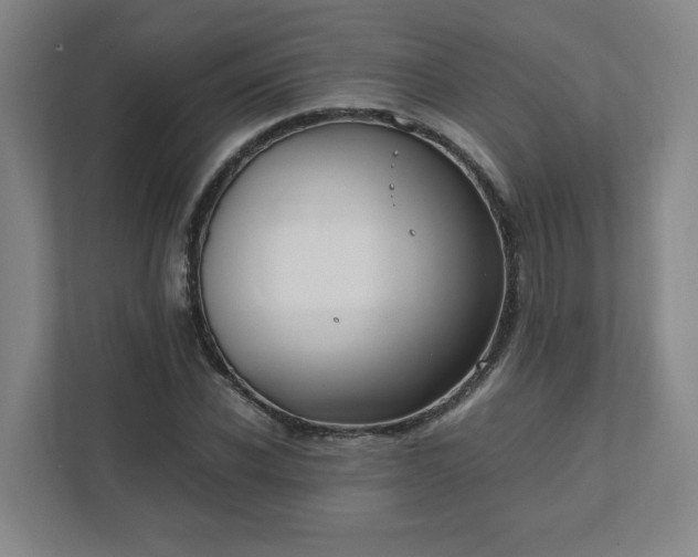 X0000111950926200908031155