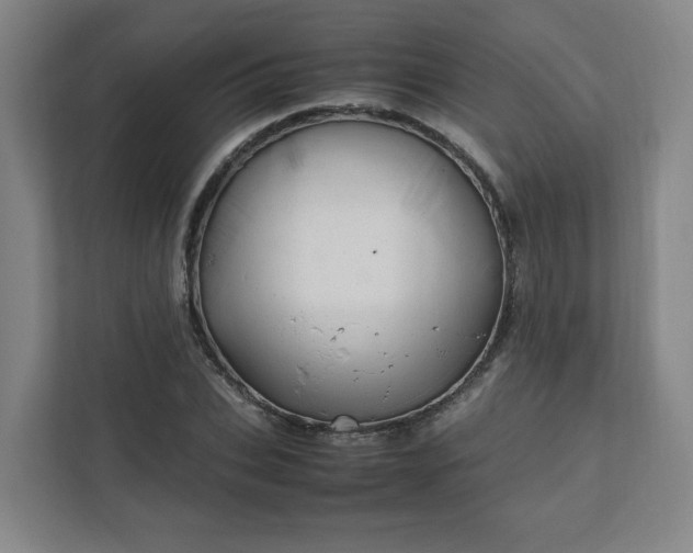 X0000111950927200908031155