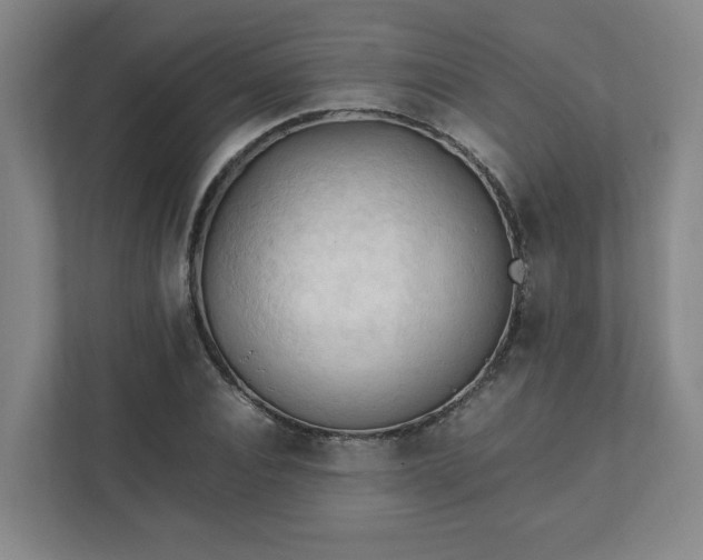 X0000111950928200908031155