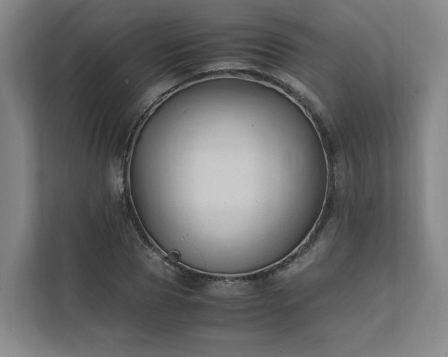 X0000111950929200908031155