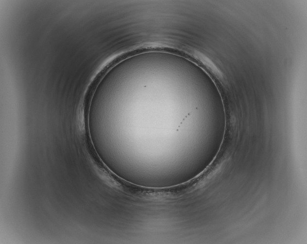 X0000111950934200908031155
