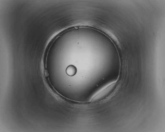 X0000111950936200908031155