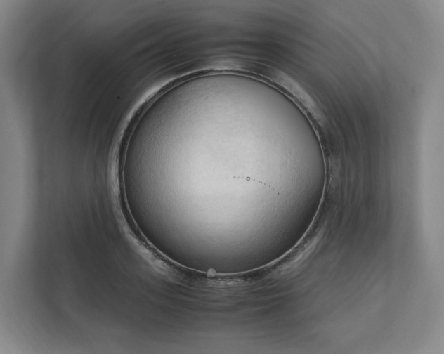 X0000111950939200908031155