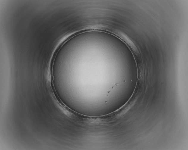 X0000111950940200908031155