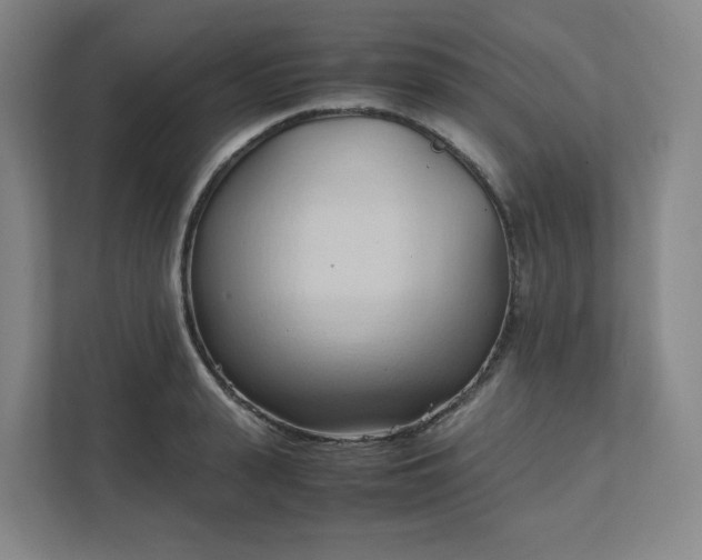 X0000111950943200908031155