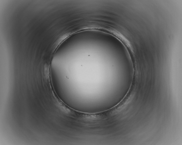 X0000111950945200908031155