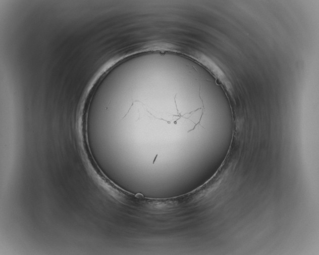 X0000111950947200908031155