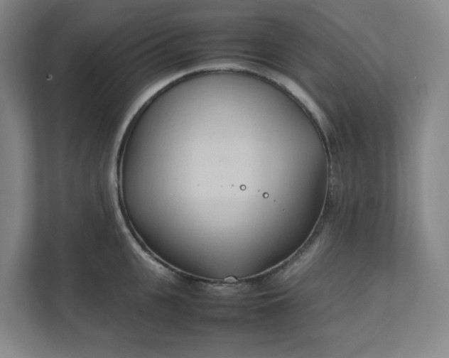 X0000111950951200908031155