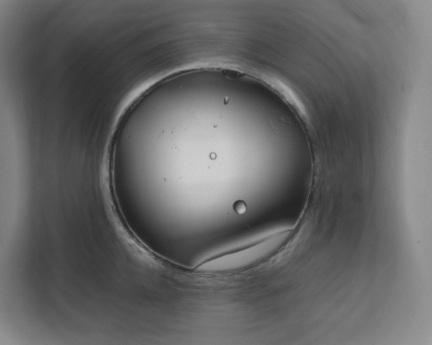 X0000111950952200908031155