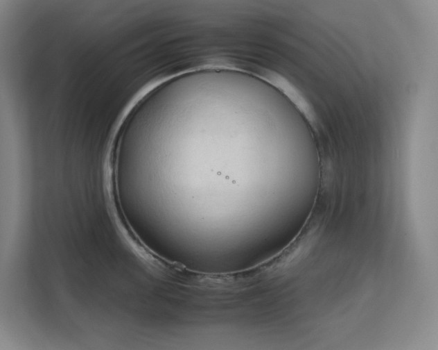 X0000111950955200908031155