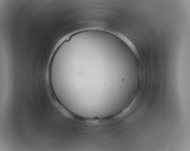 X0000111950956200908031155