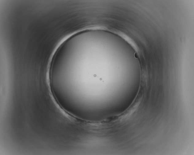 X0000111950959200908031155