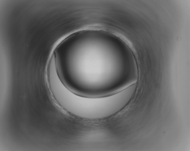 X0000111950960200908031155