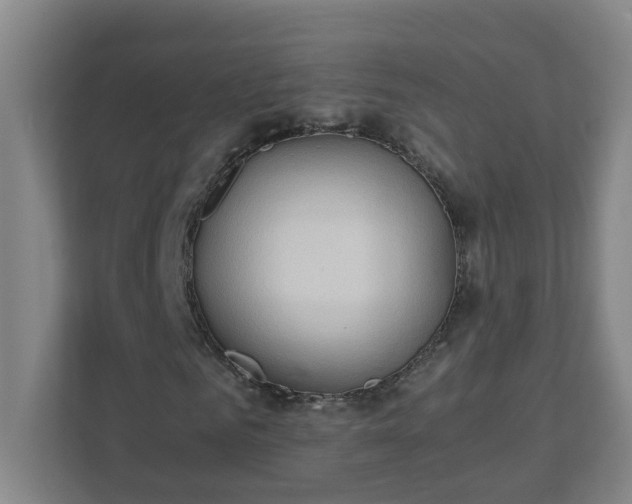 X0000111950961200908031155