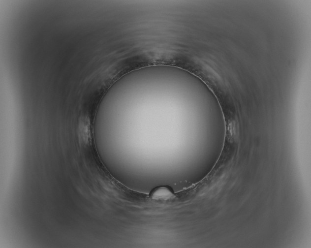 X0000111950963200908031155