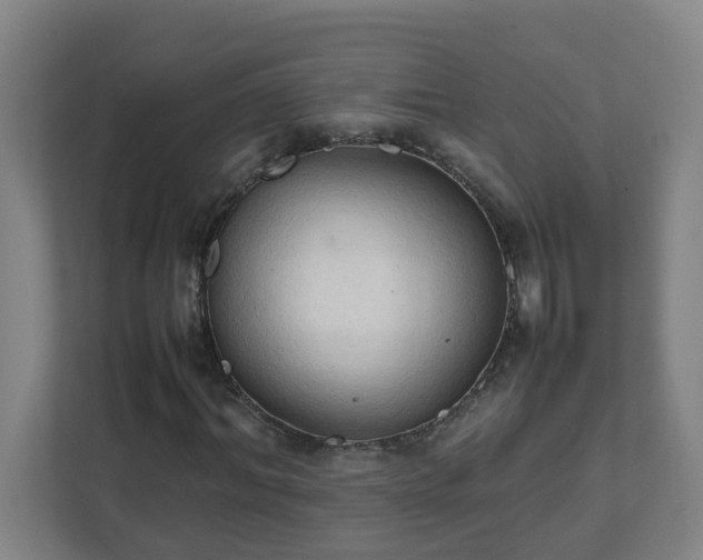 X0000111950964200908031155