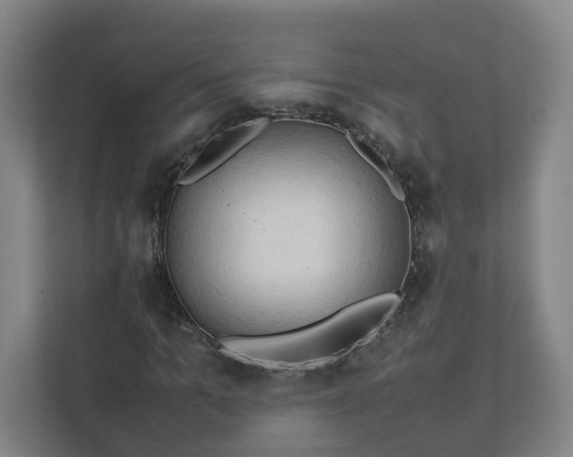 X0000111950965200908031155