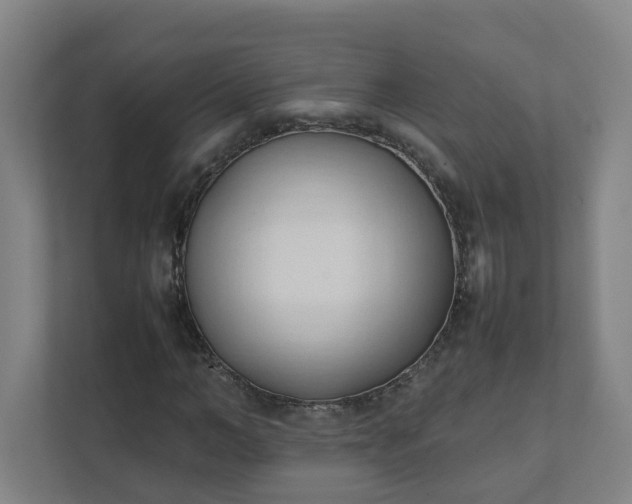 X0000111950966200908031155