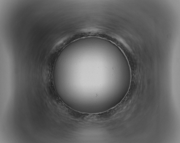 X0000111950967200908031155