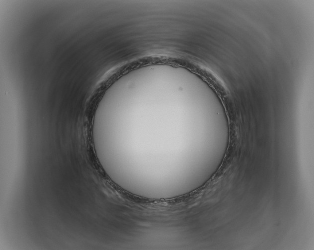 X0000111950968200908031155