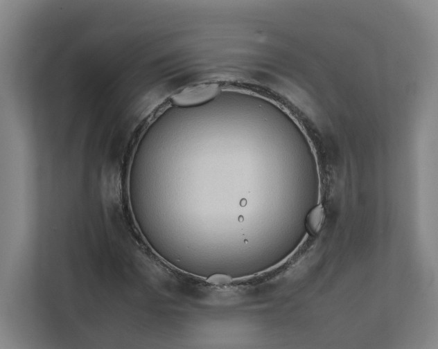 X0000111950969200908031155