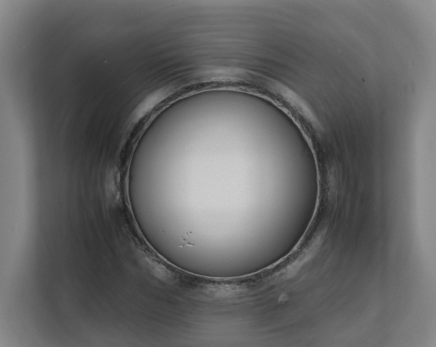 X0000111950970200908031155