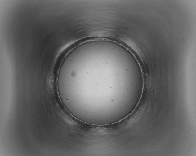 X0000111950971200908031155