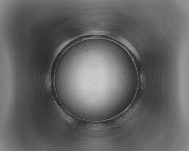 X0000111950972200908031155