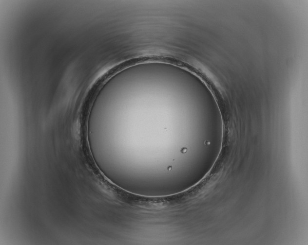 X0000111950975200908031155