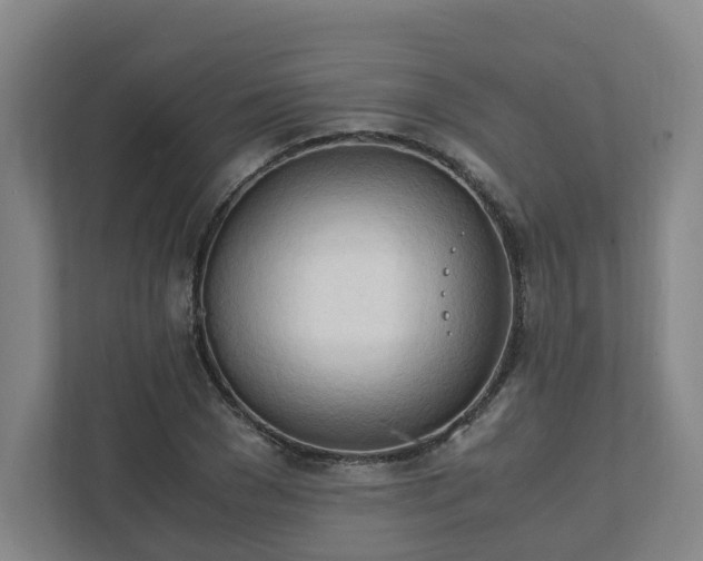 X0000111950977200908031155