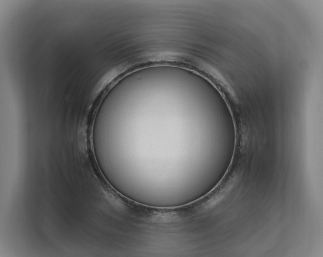 X0000111950978200908031155