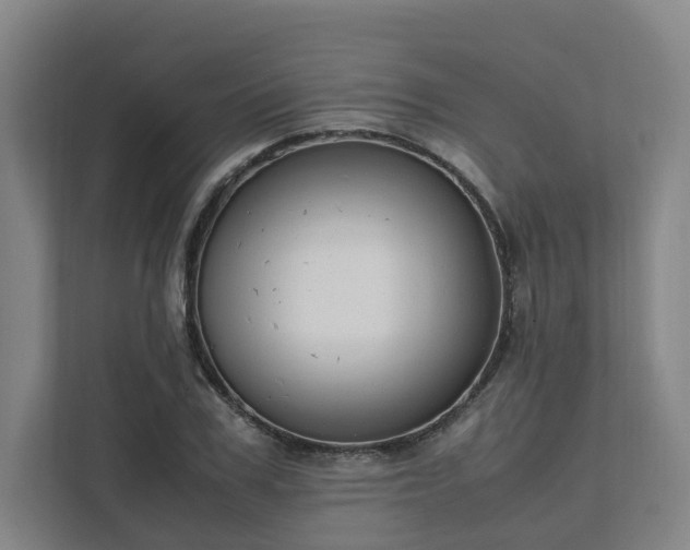 X0000111950979200908031155