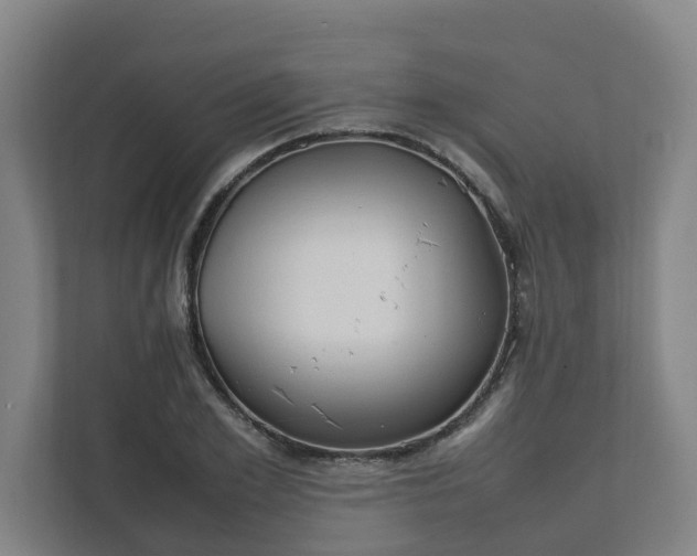 X0000111950981200908031154