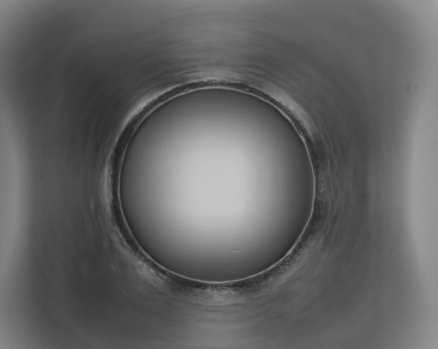 X0000111950983200908031154