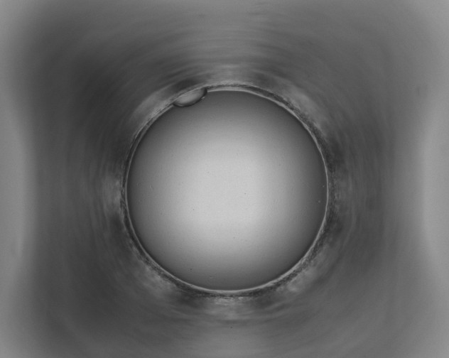 X0000111950985200908031154