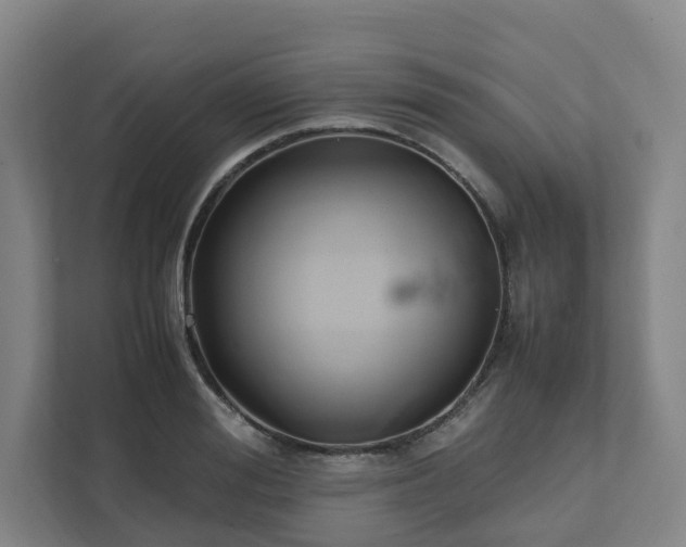 X0000111950988200908031154