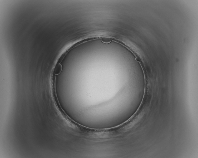 X0000111950989200908031154