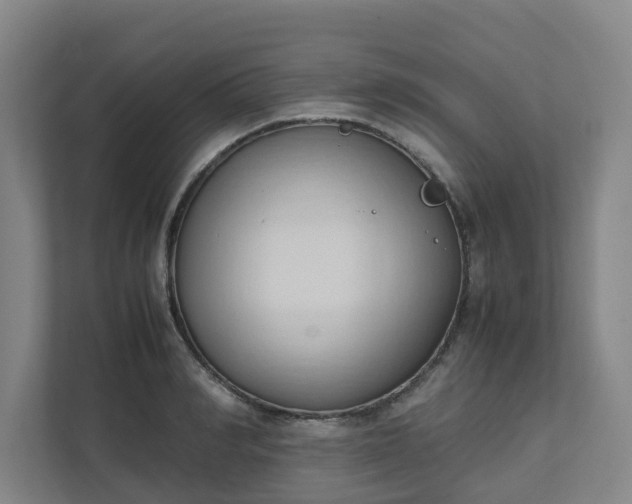 X0000111950990200908031154